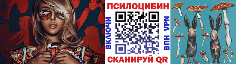 Купить закладки  Трёхгорный  Псилоцибиновые грибы Psilocybine cubensis 